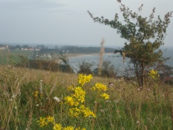 Blick vom Berg Richtung Thiessow (2)